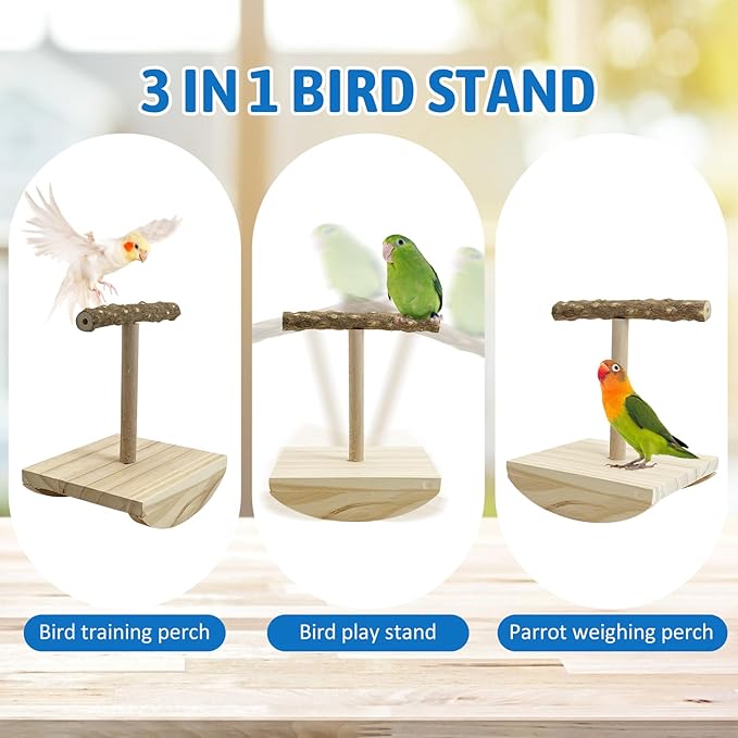 kathson Bird Training Stand, Parakeet Playground Bird Perch Platform Portable Tabletop Parrot Perch Cockatiel Stand perches T Shaped Conures Play Platform for Parakeets Conures Lovebirds Cockatiels