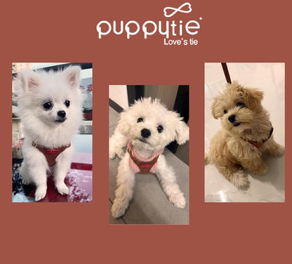 Puppytie No Pull Small Dog Harness with Multifunction Dog Leash,Lightweight Soft Adjustable No Choke Escape Proof Pet Harness Vest Pet Harness Vest,Brown Caramel,S