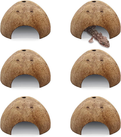 PINVNBY 6 PCS Natural Coconut Reptile Hideouts Lizard, Coco Hut Hermit Crab Hut Aquarium Fish Hide Cave for Small Reptile Crested Gecko Leopard Gecko Spider Snail Climber Toys
