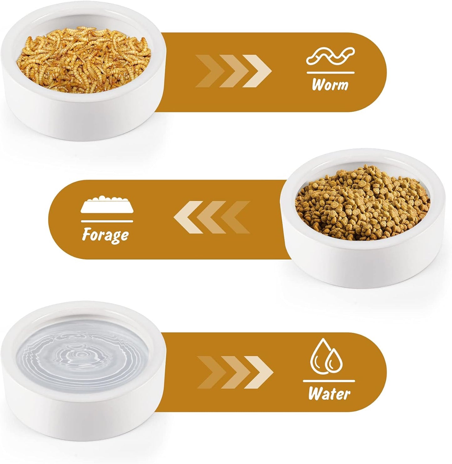 Ceramic Reptile Bowl - Mealworms & Cricket Dish for Gecko, Bearded Dragon & Chameleon - XL(5in) Anti-Escape Feeder