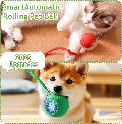Interactive Cat Toys Balls for Indoor Cats, 2025 New Motion Activated Cat Balls with 360° Smart Automatic Rolling Moving for Bored Kitten Pet Cats Dogs (Green)