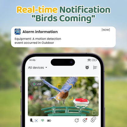 Bird Feeder with Camera Outdoor Solar: Smart Birdfeeder with AI Recognition - 2K HD Live Stream Video Camera for Outside Wild Birds Garden Decor - Bird Lover Gifts