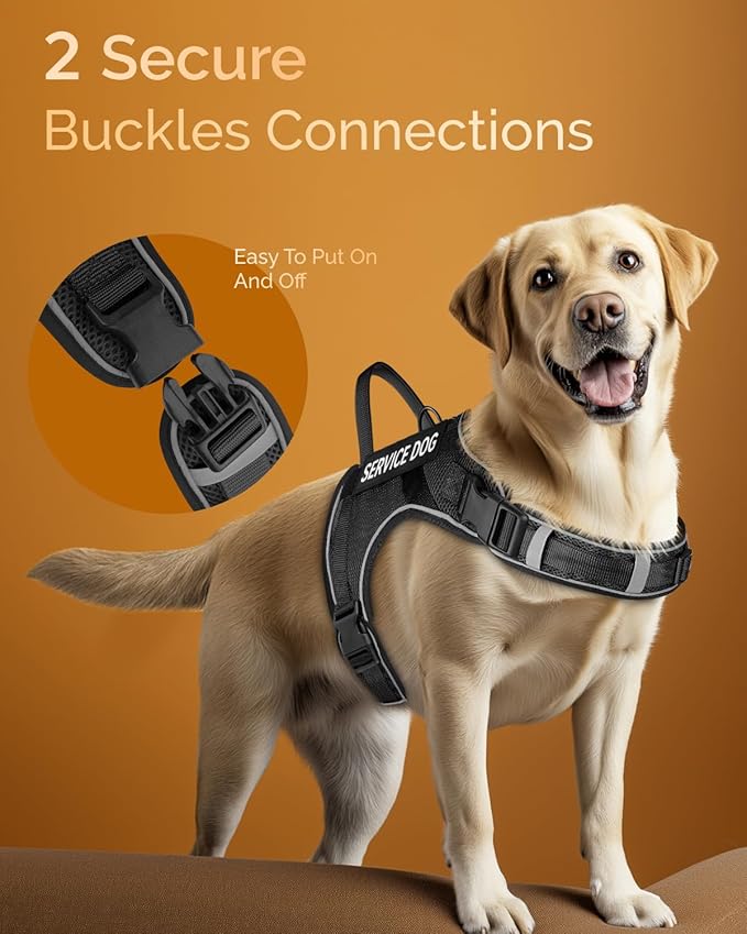 FAYOGOO Service Dog Vest for Large Dogs - Air Mesh Breathble Emotional Support Animal Vest with DIY Removable Patches - Dog Harness and Leash Set Adjustable Neck and Chest(Black,XL)