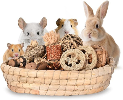 31PCS Rabbit Chew Treat Toys for Teeth Health, Natural Bunny Enrichment Toys for Boredom & Stress Relief, Keep Busy Toys for Guinea Pig Chinchilla Hamster Rat Gerbil Degu Indoor Outdoor