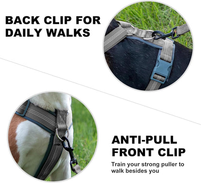 Plutus Pet No Pull Dog Harness, Adjustable Nylon Harness with Soft Padding, Reflective and Heavy Duty Dog Harness for Small, Medium, Large Dogs(Gray, L)