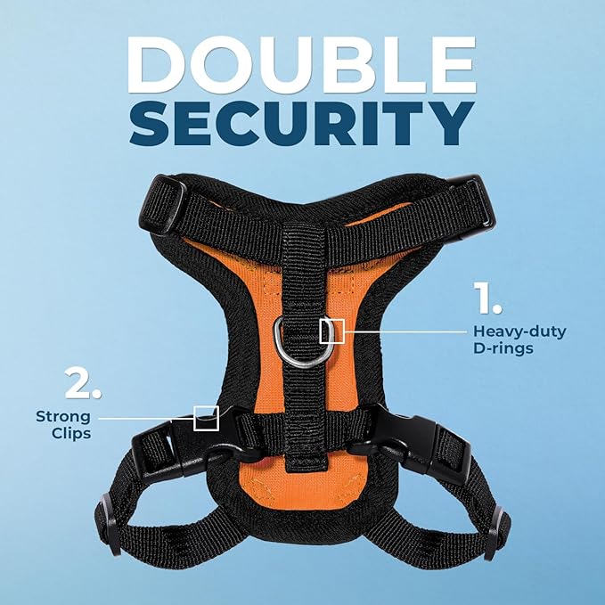 Voyager Step-in Lock Adjustable Cat Harness w. Cat Leash Combo Set with Neoprene Handle 5ft - Supports Small, Medium and Large Breed Cats by Best Pet Supplies - Orange/Black Trim, XXXS