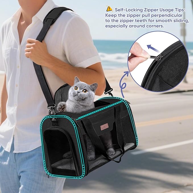 BALEINE Cat Carrier, Puppy Dog Carrier for Small Medium Pets Up to 22 Lbs, Soft-Sided Dog Travel Bag with Safety Zippers, Collapsible Pet Carrying Case (Black, XL, 19"x12"x12")