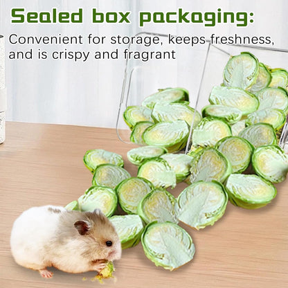 Hamiledyi Rabbit Treats Small Pets Chew Toys Bunnies Guinea Pigs Hamsters Chinchillas Rodents Dried Natural Mix Container Feeding Foraging Treats (9OZ)