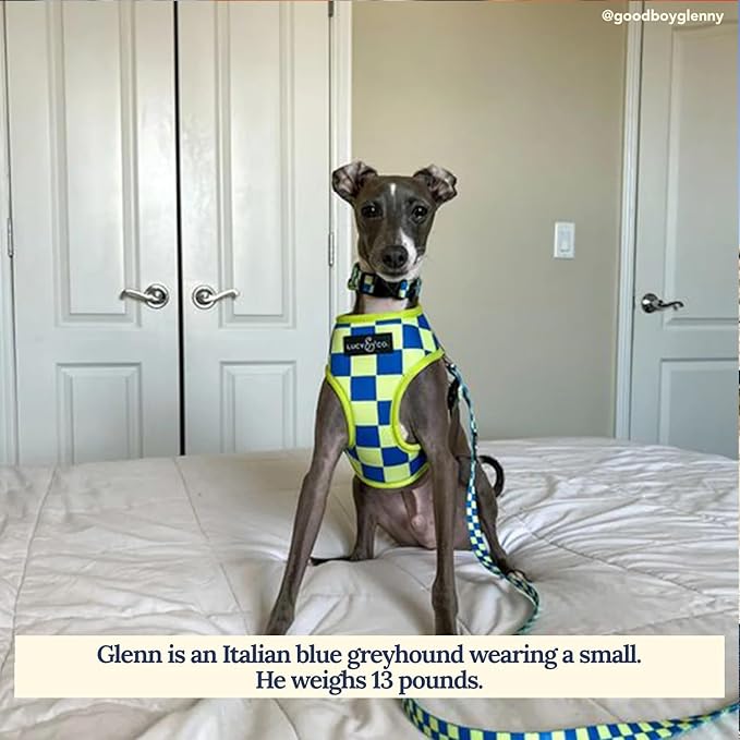 Lucy & Co. Lime Green with Blue Checker Smiley Faces, Cute Reversible Dog Harness Walking Halter - Best Designer Pet Harnesses for XS - XL Dogs - Padded Adjustable Vest for Easy Walking (X-Small)