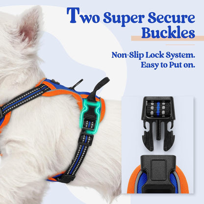 rabbitgoo Dog Harness No Pull with 2 Leash Clips, Adjustable Soft Padded, Reflective Oxford No Choke Pet Vest with Easy Control Handle for Puppy, Blue & Orange, XS