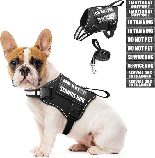 Service Dog Vest Harness and Leash Set+10 Patches,No Pull&Easy Walk Reflective Dog Harness with Soft Padded Handle for Training/Everyday,Fit Small/Medium/Large/Extra-Large Dogs (Black S)