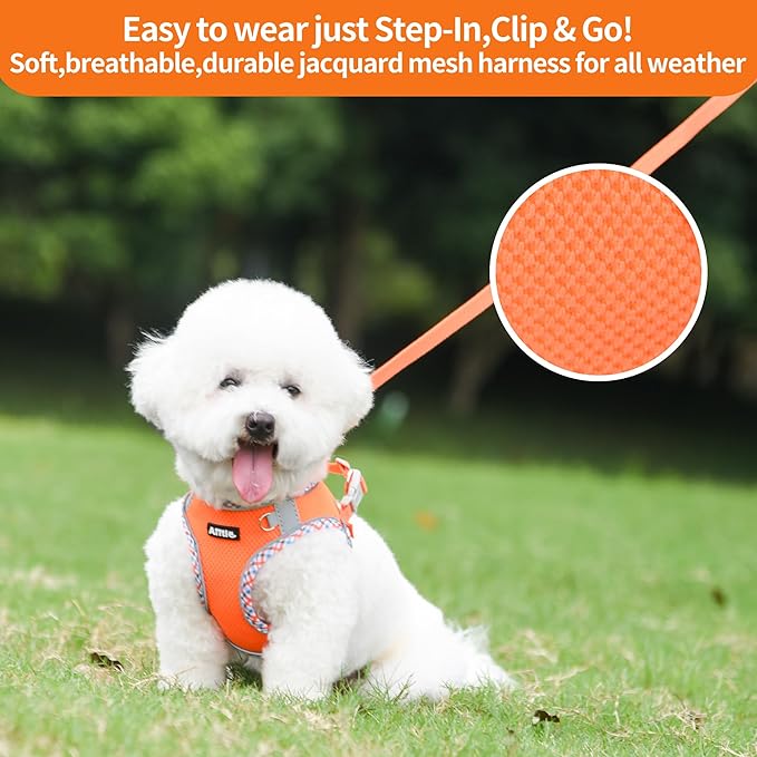 AIITLE XXS Dog Harness & Leash Set - Breathable Reflective No-Choke Small Dog Harness for Teacup Puppies, Indoor/Outdoor Use - Boston Terrier, Maltese, Chihuahua (Orange, XXS)
