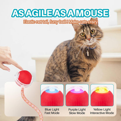 Interactive cat Toy cat Toys for Indoor Cats Agile Moving Cat Ball with Elastic Mesh Tail Automatic Kitten Toys Motion Activated Ball (Red)