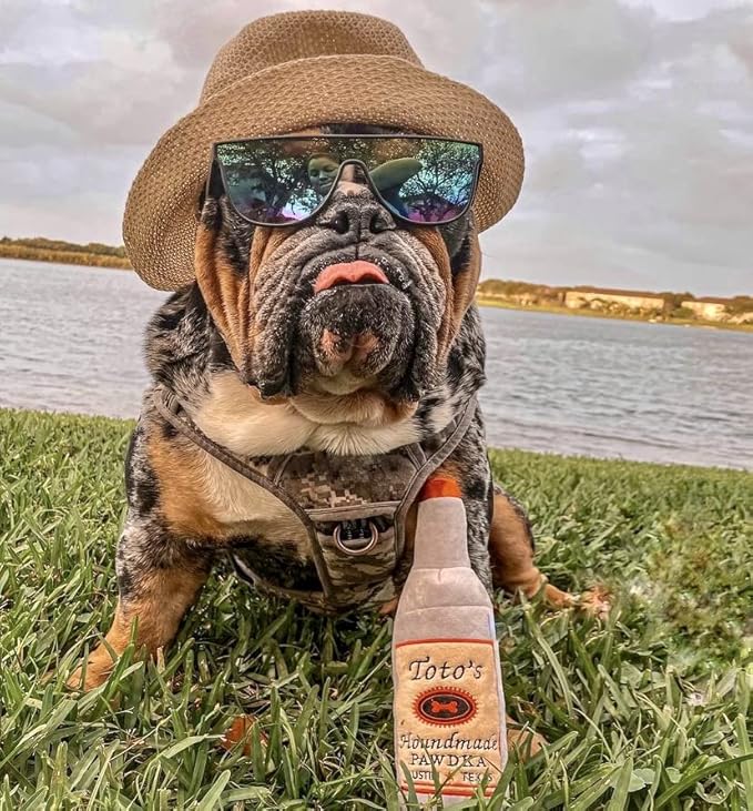 Toto's Plush Squeaky Crinkle Dog Toy - Funny Dog Gifts for Medium, Small and Large Dogs - Cute Stuffed Toys for Dog Birthdays