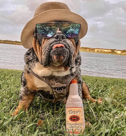 Toto's Plush Squeaky Crinkle Dog Toy - Funny Dog Gifts for Medium, Small and Large Dogs - Cute Stuffed Toys for Dog Birthdays