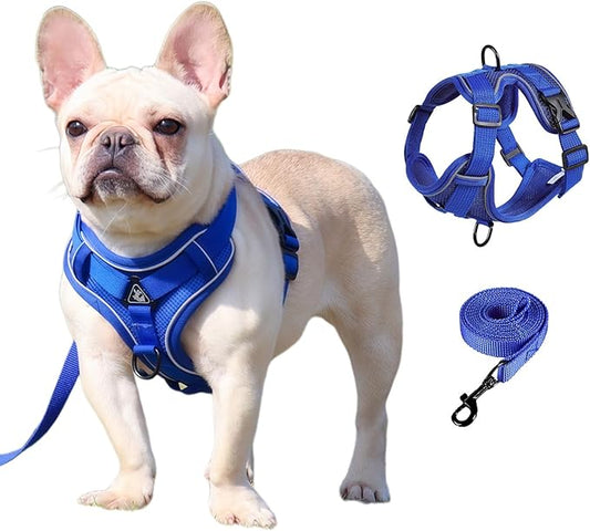 SOLMOONY Small Dog Harness,Soft Mesh Puppy Harness and Leash Set,No Escape Cat Harnesses for Training Walking,Reflective Adjustable Puppy Vest for Small Medium Dogs, Cats (Navy Blue, XL)