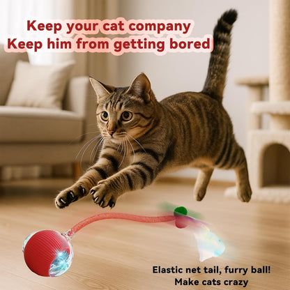 2 Packs Interactive Cat Toys for Indoor Cats, Automatic Cat Toy with Elastic Mesh Tail, Electric Rolling Ball on Carpet, Chirping and Motion Activate Cat