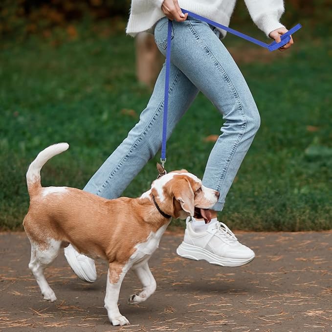 Hypeety Pet Dog Training Leash Strong Durable Nylon Lead, Traction Rope, 5 Feet Long for Puppy Kitty Rabbit Training or Walk 3 Pack Set