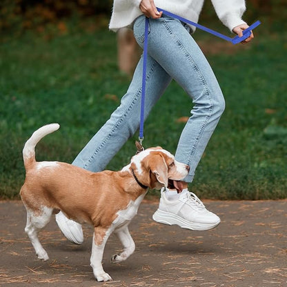 Hypeety Pet Dog Training Leash Strong Durable Nylon Lead, Traction Rope, 5 Feet Long for Puppy Kitty Rabbit Training or Walk 3 Pack Set