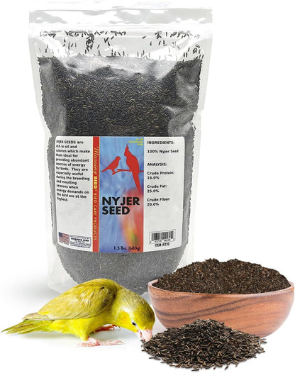 Morning Bird Nyjer Seed for Birds 1.5 lbs – Energizing Nutrition with Rich in Vitamins and Supplements – Ideal Bird Food for Breeding & Molting – Nyjer & Finch Seed for All Birds