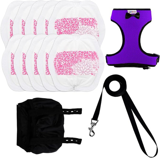 Adjustable Chicken Harness Diaper (5.4ft Leash) – Breathable & Washable Secure Training for Hens, Ducks & Chicks | Outdoor Walking & Discipline Solution