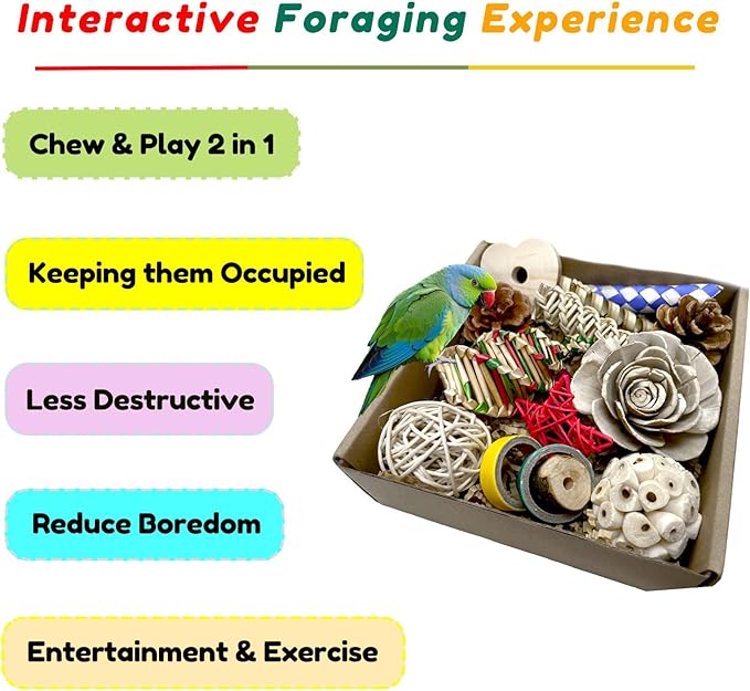 Bird Toys Parrot Toys Natural Bird Foraging Box Foot for Parakeets,Cockatiels,Conures,Love Birds,and Other Small to Medium Birds (Medium)