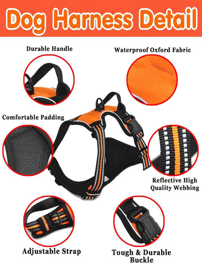 Personalized Custom No Pull Dog Harness Leash Set with Name Phone Number-Heavy Duty Reflective Soft Padded Dog Vest Harness with Easy Control Handle for Small Medium Large Dog-2 Leash Attachments