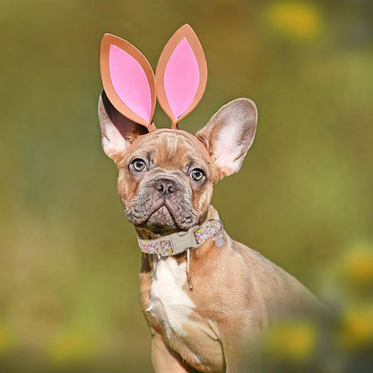 DOGWONG Easter Dog Collar, Cute Egg Bunny Dog Collars, Adjustable Easter Pet Collars Design Dog Collar with Quick Release Buckle for Small Dogs