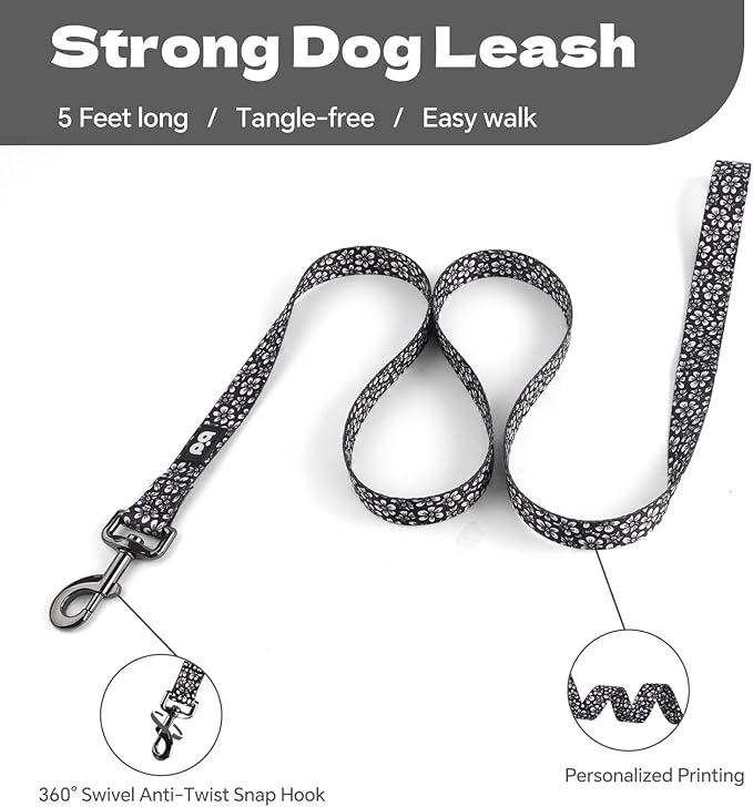 QQPETS Dog Harness Leash Set Adjustable Heavy Duty No Pull Halter Harnesses for Small Medium Large Breed Dogs Back Clip Anti-Twist Perfect for Walking