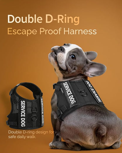 FAYOGOO Service Dog Vest for Small Dogs - Air Mesh Breathble Emotional Support Animal Vest with Velcro Patches - Puppy Harness and Leash Set Adjustable Neck and Chest