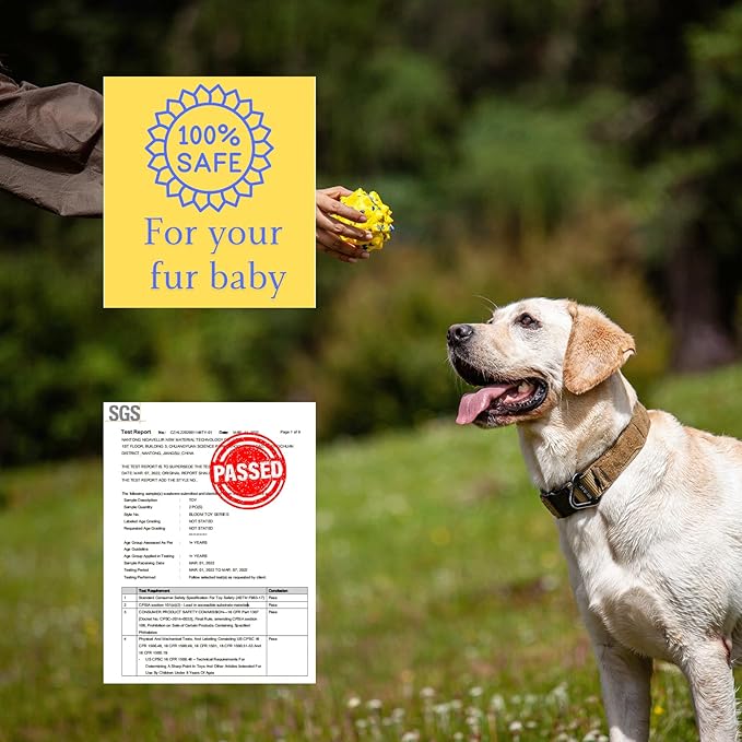 Indestructible Dog Ball Toy for Aggressive Chewers,Floating Toy,Durable Balls,Interactive Chew Ball for Dogs,(1ball)