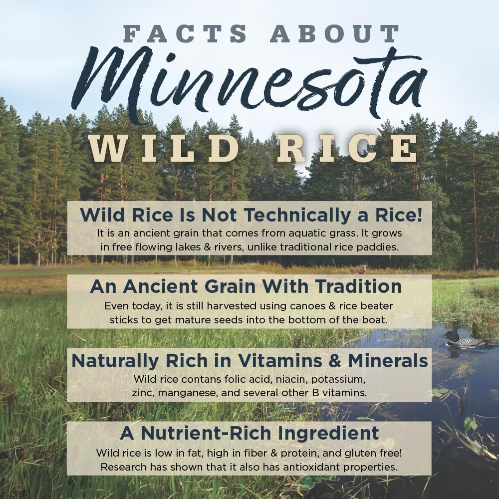 NutriSource Harvest Selects Northern Feast Dog Cans, Premium Wet Dog Food, 12.3 Ounce (Pack of 12)