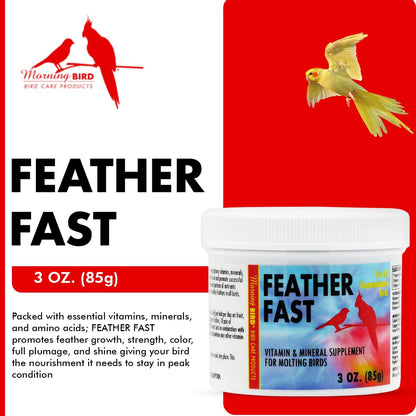 Morning Bird Feather Fast 3 Oz – Multi-Vitamin During Molt - Molting Support Supplement for Birds – Amino Acid & Vitamin Powder Formula– Promotes Feather Growth, and Full Plumage – for All Adult Birds