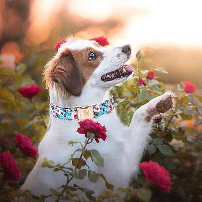 Elegant Little Tail Pink Floral Print Summer Dog Collar - Cotton, Durable, Metal Buckle - Large Dogs, Blue Flower
