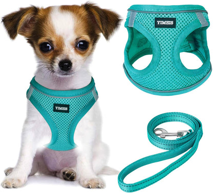 YIMEIS Dog Harness and Leash Set, No Pull Soft Mesh Pet Harness, Reflective Adjustable Puppy Vest for Small Medium Large Dogs, Cats (Turquoise, Small (Pack of 1)
