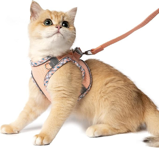 Jestrem Cat Harness and Leash Set - Breathable Mesh Vest with Reflective Strips, Escape-Proof Harness with No-Choke Design Secure Lock Buckles for Kittens or Puppies, XXS Pink(Fits 1-4 lbs Kittens)