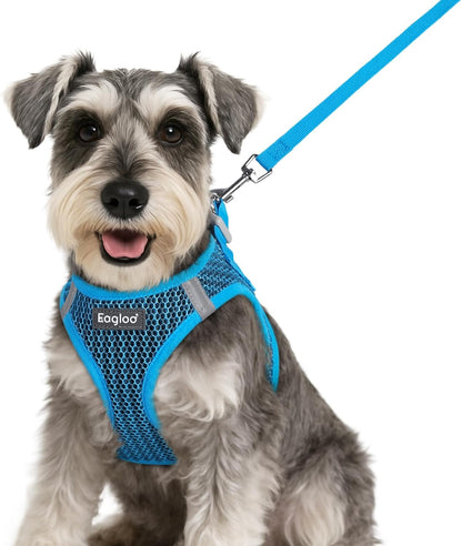 Eagloo Small Dog Harness and Leash Set, Step in Puppy Vest with Breathable Soft Mesh, Walking Reflective Pet Harness for Small Dogs, Blue, S