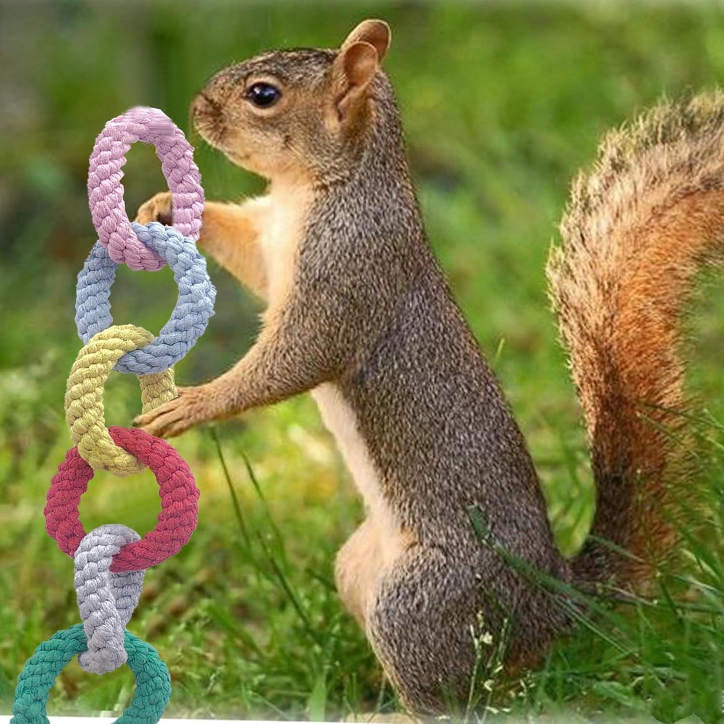 Sugar Glider Hanging Six-Ring Climbing Toys,Sugar Glider Swing Toys,Sugar Glider Climbing Rope Cage Accessories for Sugar Glider Ferret Hamster Squirrel Chinchilla Parrots Climbing Exercising