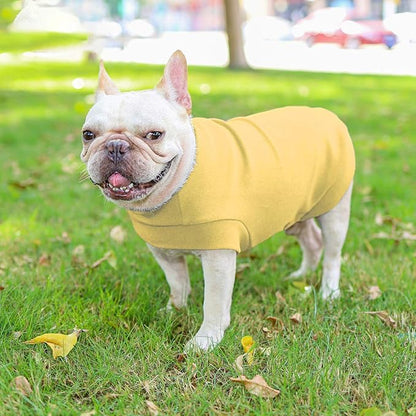 Small Dogs Fleece Dog Sweatshirt - Cold Weather Hoodies Spring Soft Vest Thickening Warm Cat Sweater Puppy Clothes Sweater Winter Sweatshirt Pet Pajamas for Small Dog Cat Puppy (Small, Yellow)