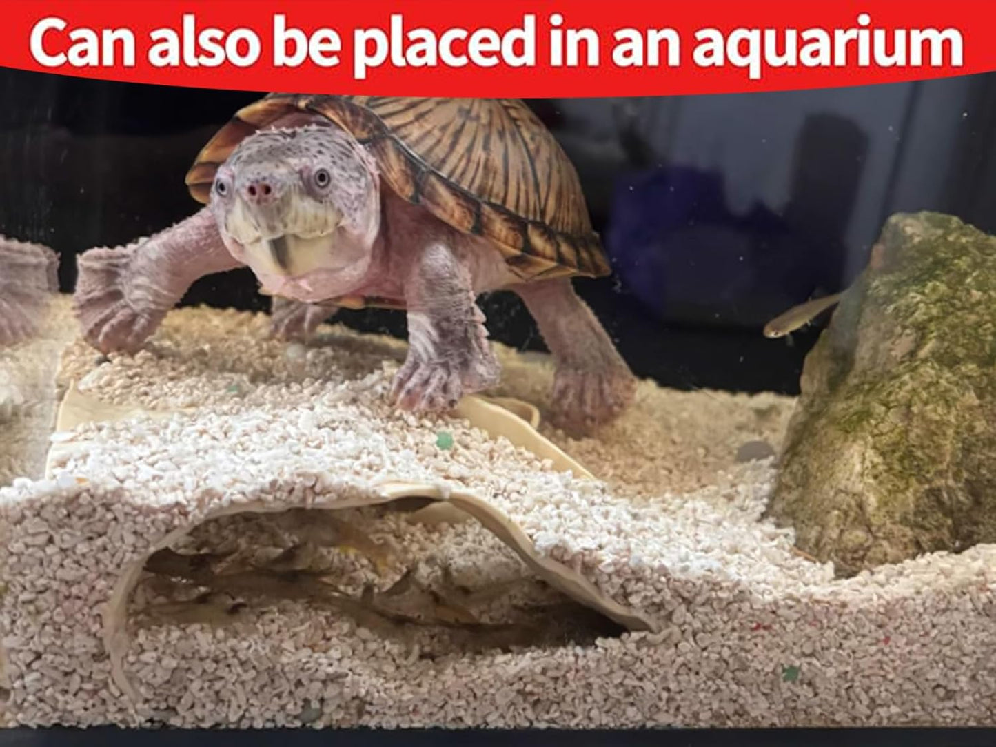 Reptile and Shrimp Hide Cave, 3D Printed Aquarium Decor for Bearded Dragon Snake, Fish Tank Accessories Terrarium Corner Shelter (Black, one Size)