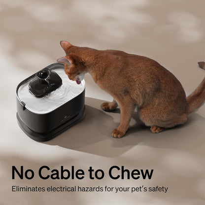 Bundle of PETLIBRO Cat Water Fountain, Cordless Pet Water Fountain Battery Operated+8 Packs Replacement Filters for Dockstream Cat Water Fountain WF005 WF115 WF105, 4 Months Set of Replacement Filters