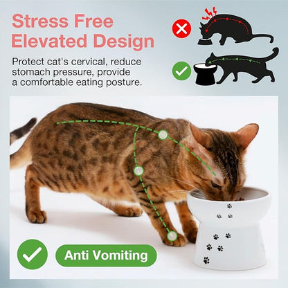 Necoichi Raised Cat Food Bowl – Ceramic Elevated Cat Bowl for Whisker & Neck Fatigue, Dishwasher Microwave Safe – Non-Slip & Anti Vomiting Ergonomic Design (Cats, Large)