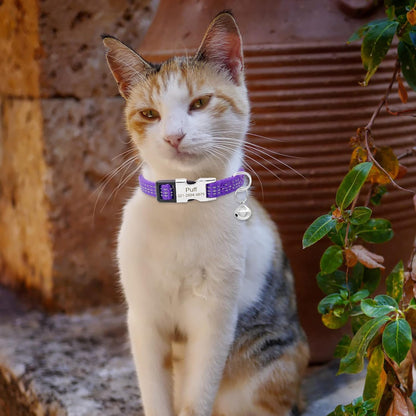 Personalized Reflective Nylon Cat Collar with Name Phone,Custom Engraved Buckle Cat Collar with Bell,Adjustable for Small Dogs Puppy Kitten (Purple,fit 7.5''-12.0'')