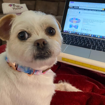 Elegant little tail Dog Collar, Colorful Pattern Pet Collar Durable Cute Dog Collars Fashion Male Female Pet Gift Adjustable Dog Collar for Large Dogs