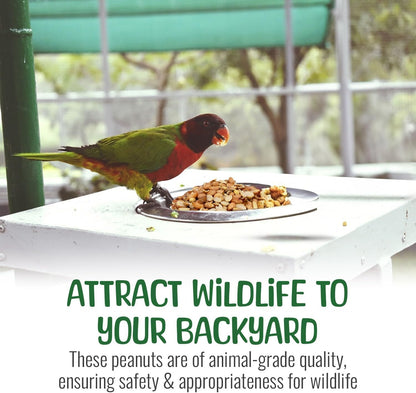 Premium Quality Raw Out of Shell Peanuts - 2 Pounds - Shelled Peanuts for Birds – Wildlife Quality - Food for Squirrels, Deer, Birds, and Other Wildlife Animals – Grown in The USA