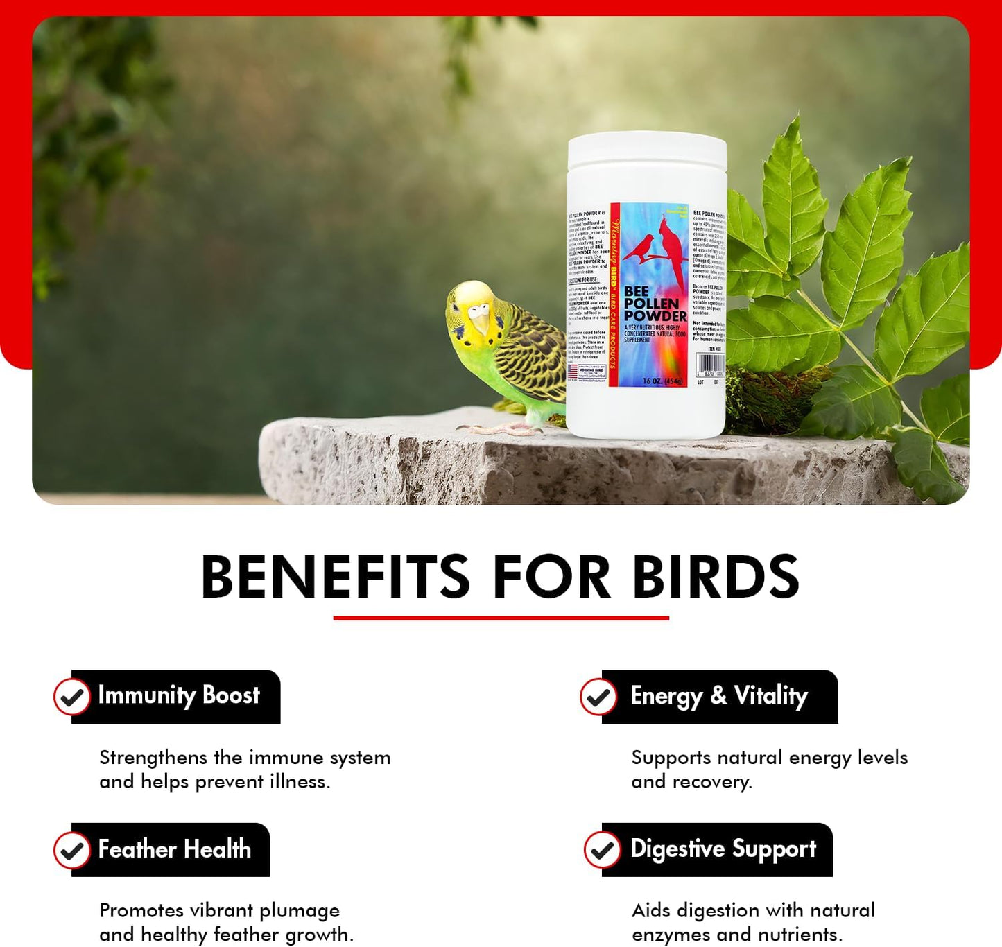 Morning Bird Bee Pollen Powder for Birds 16 Oz – Complete Nutrition with Protein, Amino Acids & Immune Support – Bird Vitamin & Mineral Supplement for Daily Health & Wellness
