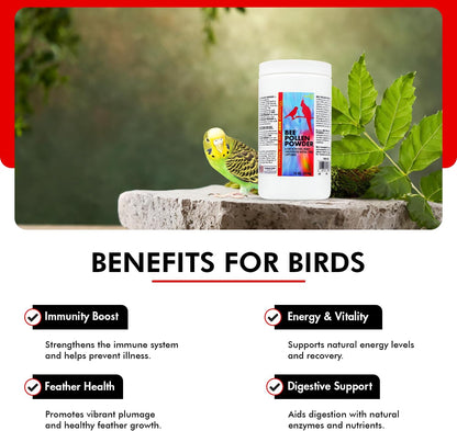 Morning Bird Bee Pollen Powder for Birds 16 Oz – Complete Nutrition with Protein, Amino Acids & Immune Support – Bird Vitamin & Mineral Supplement for Daily Health & Wellness