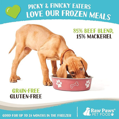 Raw Paws Signature Blend Pet Food for Dogs & Cats - Beef & Wild-Caught Mackerel Recipe, 1-lb Rolls (20 Pack) - Freshly Made in USA Natural Beef Fish Dog Food - Mackerel for Dogs, Raw Cat Food