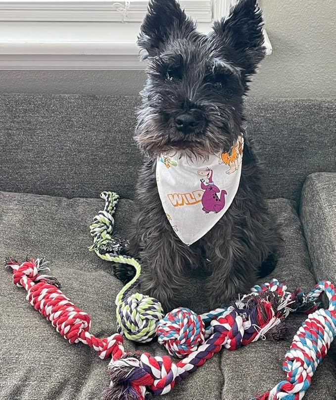 Pacific Pups Products Dog Rope Toys for Medium Dogs & Small Dogs 5 Pack - Puppy Teething Toys and Small Dog Toys - 5 Puppy Chew Toys for Teething