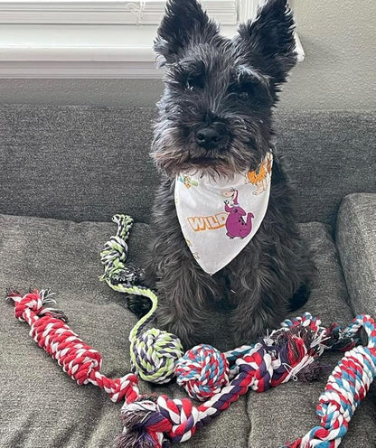 Pacific Pups Products Dog Rope Toys for Medium Dogs & Small Dogs 5 Pack - Puppy Teething Toys and Small Dog Toys - 5 Puppy Chew Toys for Teething